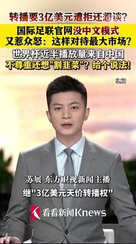 中国网友怒喷FIFA：官网没有中文？！不尊重还想"割韭菜&rdquo;？